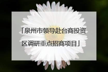 泉州市领导赴台商投资区调研重点招商项目